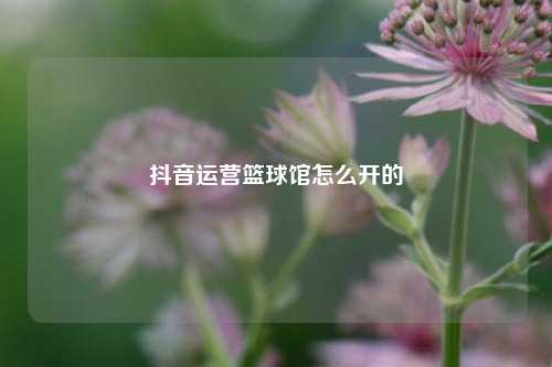 抖音运营篮球馆怎么开的