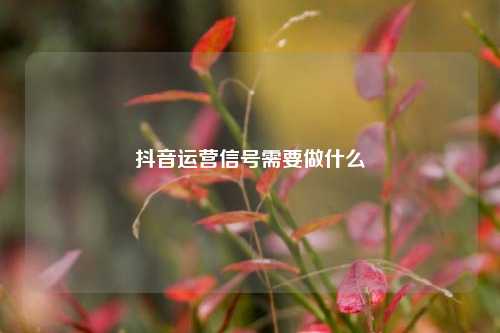 抖音运营信号需要做什么