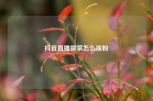抖音直播做菜怎么涨粉