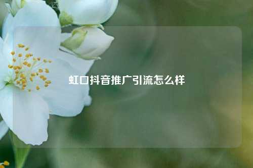 虹口抖音推广引流怎么样
