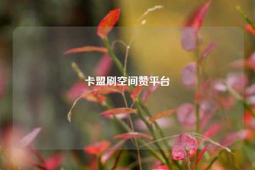 卡盟刷空间赞平台