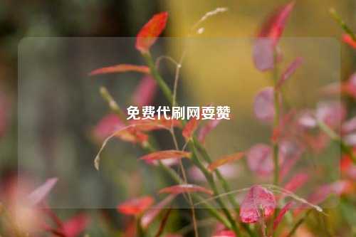 免费代刷网耍赞