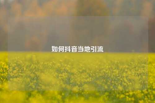 如何抖音当地引流