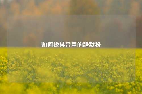 如何找抖音里的静默粉