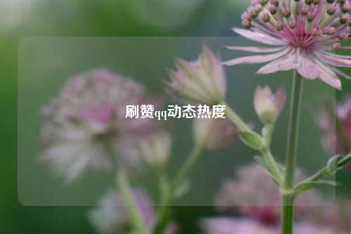 刷赞qq动态热度