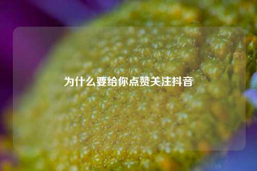 为什么要给你点赞关注抖音